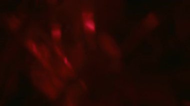 Kırmızı parıltı. Odaklanmamış ışık arkaplanı. Görsel aydınlatma üzerine renkli optik ışıltı dokusu koyu siyah yaratıcı sanat soyutlaması.