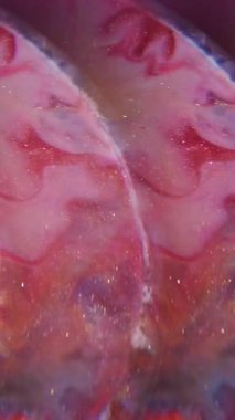 Dikey video. Optik efekt boyası. Sanat sıvısı bulanıklığı. Pembe kırmızı gri akrilik karışım rengi. Işıl ışıl parçacıklar odaklanmış küreyi soyut arkaplan boyası.