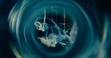 Boya damlası çözüldü. Duman girdabı. Sarı mavi duman siyah gri arkaplanda yuvarlak çerçevede süzülüyor soyut kıvrımlar parlıyor.