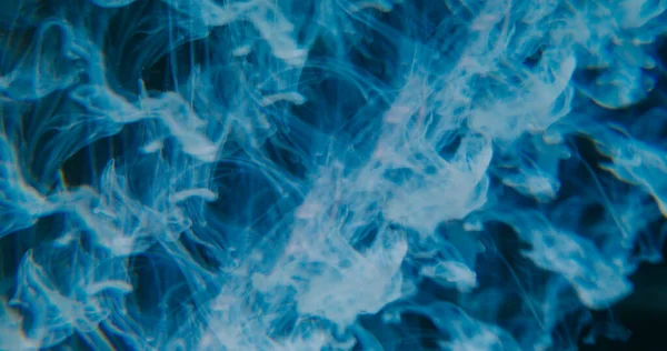 Odaklanmamış duman damlası. Boya girdabı. Mavi buharlı sıvı boya suda çözülüyor. Soyut arkaplan rengini harmanlayan kaleydoskopik prizma.