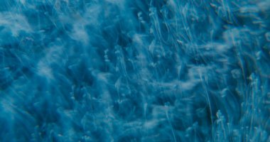 Duman akışı dağıldı. Boya damlası. Mavi renk sıvı soyut arkaplanda kıvrılır. Sis pigmenti sanat kıvırcığı bulut suyuna karışıyor.
