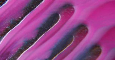 Bulanık renkli damlalar. Damlalar boya. Cam dokusunda parlak pembe sıvı akışı. Suluboya damlası sanat prizmasının soyut arkaplan efektini sıçratıyor.