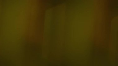 Odaklanamayan ışın lensi. Yansıma flaş dokusu. Turuncu yeşil parlak harmanlayıcı renk soyut koyu arkaplan. Optik sanat efekti.