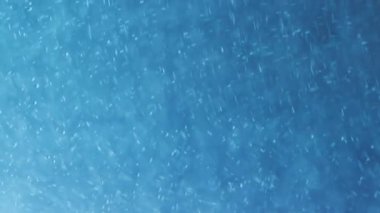 Bulanık kabarcıklar yüzüyor. Mavi arka plan. Odaklanmamış kozmik toz rengi sıvı parlak sim akrilik sükunet sanat ışığı soyutlamasına akıyor.