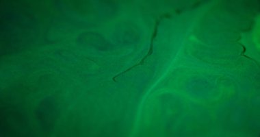 Boya sıvısı çözüldü. Sanat emülsiyonu. Yeşil dalgalı karışım karışık karışık renk arkaplanı. Parlak su pigmenti girdap gibi ıslak doku.