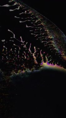 Dikey video. Arıza dokusu. Ekran bozulması. Sarı siyah renk gürültü titreşimleri mor çizgi desenleri ile sanat soyut arkaplan üzerindeki eski film dalgaları.