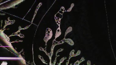 Dijital frekans. Sinyal teknolojisi. Sarı siyah renk gürültü titreşim sıvı dalgalar pembe kırık çizgiler sanat soyut arkaplan.