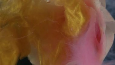 Dikey video. Su altında çiçek açar. Mürekkep arkaplanı. Bulanık pembe sarı beyaz renk Eustoma çiçeği doğa su bulutu parıltısı yayılan sanat soyutlaması.