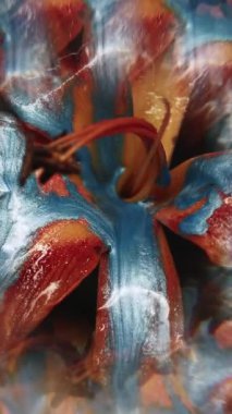 Dikey video. Çiçekli kaleydoskop. Mürekkep döküldü. Odaklanmamış kırmızı turuncu zambak çiçeği doğa mavi akış suyu botanik sanatının arka planına akıyor.