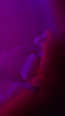 Dikey video. Renkli sis. Mürekkep buharı. Mor kırmızı ışık suyunda boya dalgası. Fantezi parlayan damla patlaması soyut neon gölgesi bulanık arkaplan.