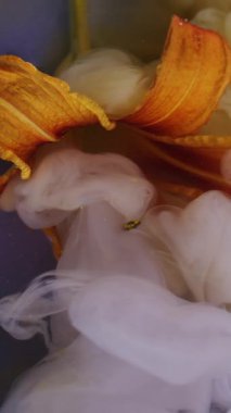 Dikey video. Çiçek suyu. Bulut mürekkebi. Odaklanmamış kırmızı turuncu mavi renk girdaplı sıvı simli buhar bitkisi çitleri soyut arka planda yüzüyor..