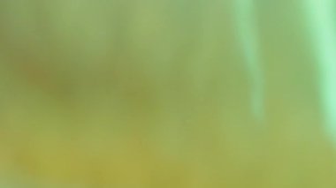 İşaret fişeği. Kaçak aydınlatma. Soyut arkaplan rengini karıştıran yeşil mavi yansıma hareketi. Optik sanat efekti.