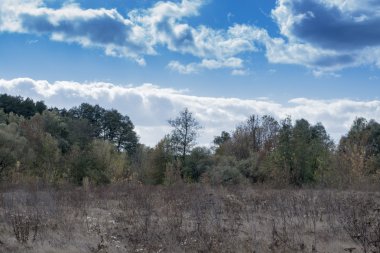 sonbahar orman manzarası