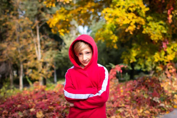 Egy Fiú Piros Pulóverben Egy Őszi Park Hátterében — Stock Fotó