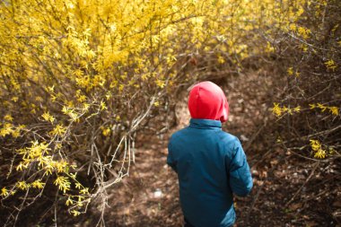 Çocuk sırtı sarı çiçeklerden oluşan bir çalılığın yanında duruyor.