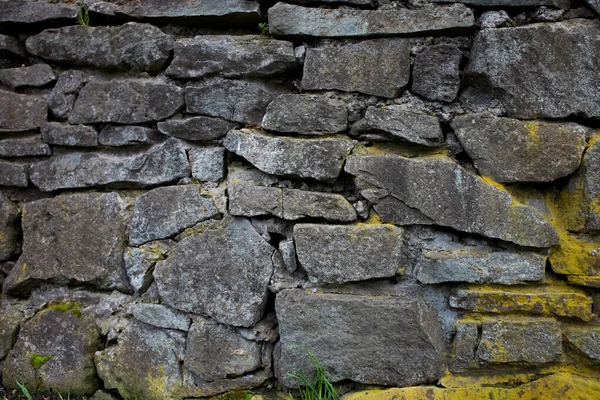 Texture Stone Grey Wall Moss — Stock Photo, Image