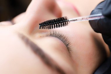 Silia 'nın kaplaması üzerine tamamlanmış çalışmanın yakın çekimi, usta silia' yı bir fırçayla tarıyor