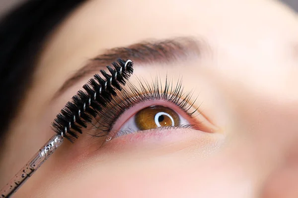 Close Model Eye Curl Cilia Work Done Lamination Eyelashes Master — Stock Photo, Image