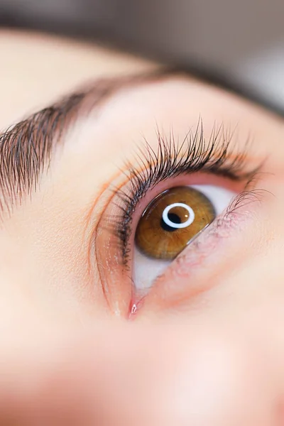 Primo Piano Degli Occhi Una Bella Ragazza Dopo Procedura Laminazione — Foto Stock