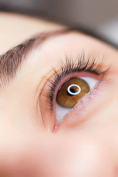 Close Dos Olhos Uma Menina Bonita Após Procedimento Laminação Cílios — Fotografia de Stock