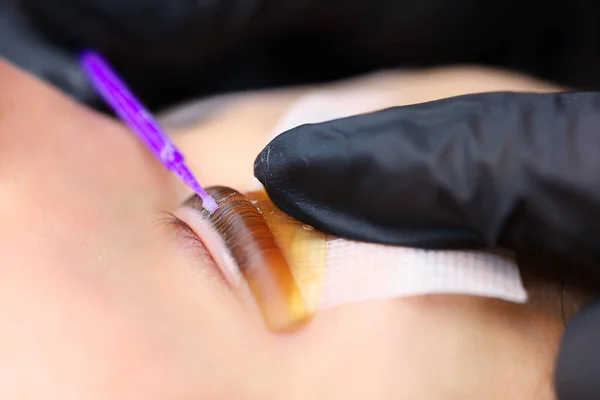 close-up of the hands of the master of lamination of cilia hold a micro-brush and glue the eyelash to the curling roller
