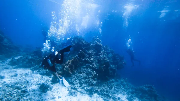 Schöne Unterwasserwelten Silhouetten Von Tauchern Sind Hintergrund Von Hinten Sehen — Stockfoto