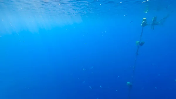 Unterwasserhintergrund Des Meeres Von Dessen Oberfläche Sich Die Sonnenstrahlen Ihren — Stockfoto