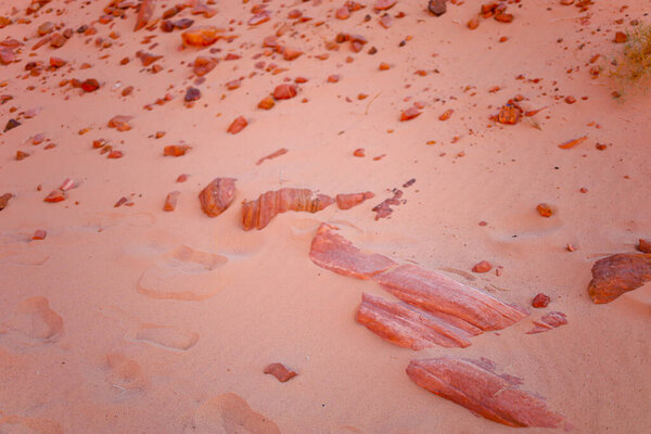 stones are scattered on the desert sand against the background of a red canyon