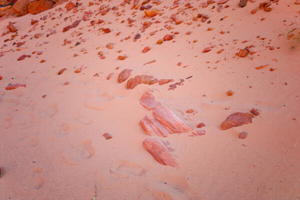 stones are scattered on the desert sand against the background of a red canyon