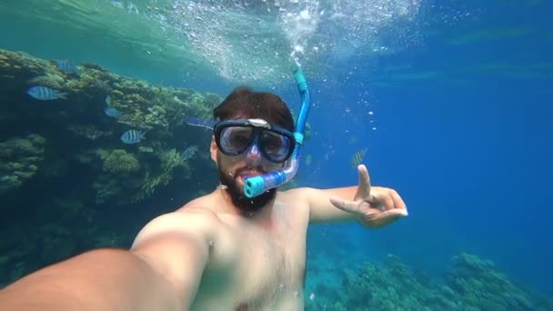 Бородатый Человек Занимающийся Подводным Плаванием Всплывает Поверхность Моря Показывает Знак — стоковое видео