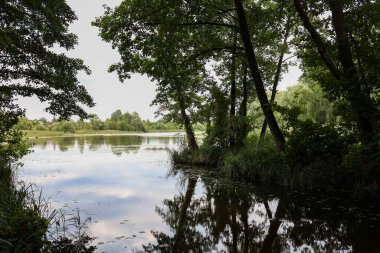 Göl ormanın çalılığında yer alır. Doğanın güzel bir manzarası vardır.