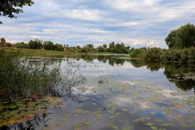 Göl ormanın çalılığında yer alır. Doğanın güzel bir manzarası vardır.
