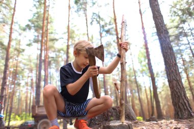 Çocuk çam ormanında ve ateş yakmak için odun kesiyor.