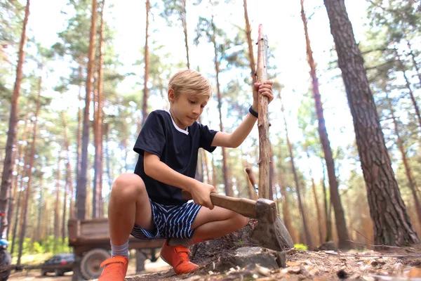 Der Junge Ist Einem Kiefernwald Und Hackt Holz Ein Feuer — Stockfoto