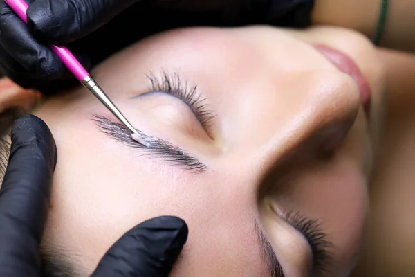Model Lies Procedure Lamination Eyebrows Master Applies Composition Lamination Eyebrows — Stock Photo, Image
