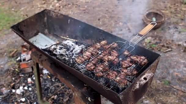 Egy Fenyőerdő Grillezésén Egy Férfi Megfordítja Sült Húst — Stock videók
