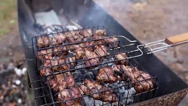 Barbecue Pine Forest Man Turns Fried Meat — Stock Video