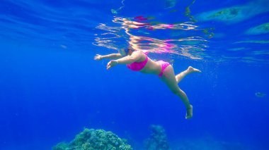 Güzel vücutlu genç bir kız kızıl denizde yüzüyor ve şnorkelle yüzüyor.