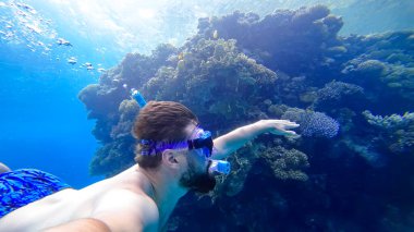 Mercan yakınlarında kızıl denizi yüzen ve oranın güzelliğini inceleyen bir adam.