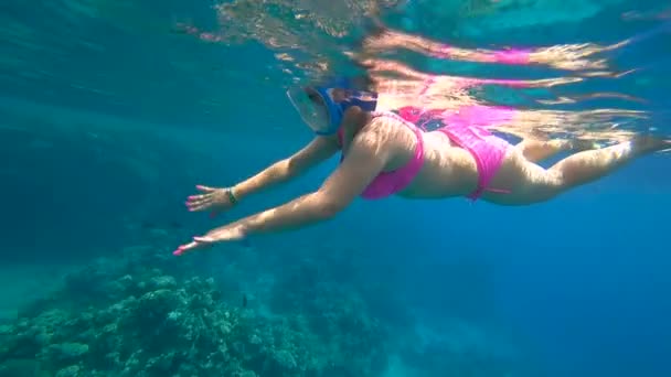 Een Meisje Een Koraal Badpak Zwemt Rode Zee Bezig Met — Stockvideo