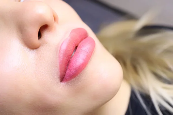 Die Fertige Arbeit Permanenten Lippenschminken Ist Ein Wunderbares Ergebnis Der — Stockfoto