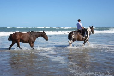 İki at deniz kıyısında bir adamla yürüyor, işten dinlenmek için yürüyüşe çıkıyorlar..