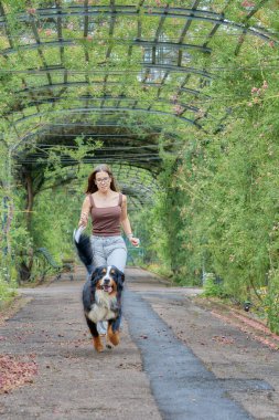 Bernese Dağ Köpeği 'yle çiçek tünelinin altında koşan bir kadın. Paylaşılan enerjiyi, duygusal bağı ve kentsel doğal çevrenin güzelliğini kutlayan canlı bir sahne..