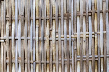 Bambu desen arka plan