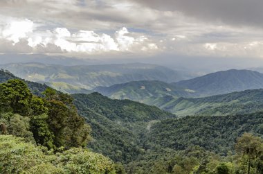 Tropik yağmur ormanı dağ