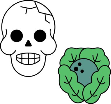 Bir kafatası ve bir baş marul. Kafatası gülümsüyor ve marul kasenin içinde.