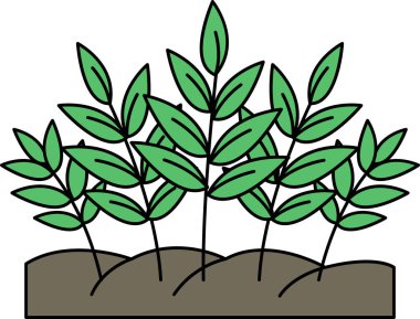 Siyah arkaplanlı bir demet yaprak çizimi. Yaprakların hepsi farklı boyutlarda ve çeşitli yönlere yayılmış.