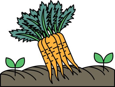 Birkaç bitkiyle birlikte bir tarlada bir havuç gösterilir. Havuç görüntünün ana odak noktasıdır ve sahnedeki en göze çarpan sebzedir. Diğer bitkiler daha küçük ve daha az dikkat çeker.