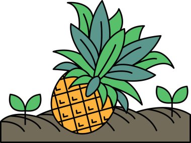 Bir ananas yapraklı yeşil bir bitkinin üzerindedir. Ananas en tepeden kesilir. Bitki bir yamaçta.