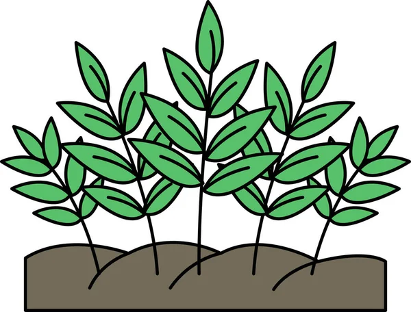 Siyah arkaplanlı bir demet yaprak çizimi. Yaprakların hepsi farklı boyutlarda ve çeşitli yönlere yayılmış.